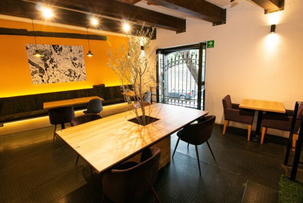Chez Vous Coyoacan