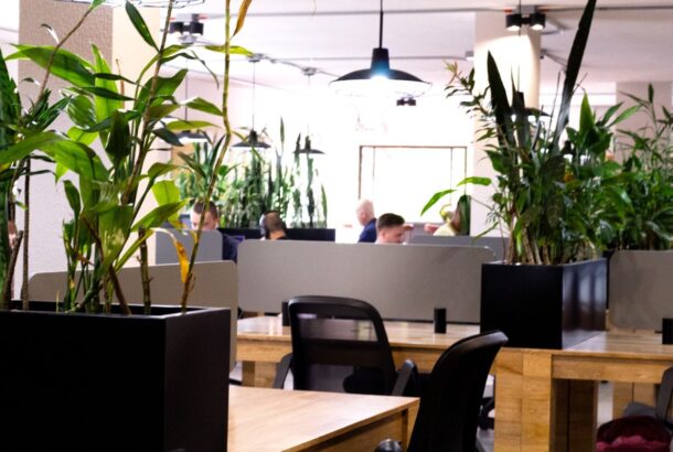 Semilla Cafe Coworking